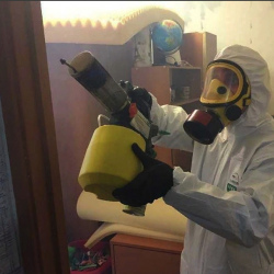 Уничтожение клопов в квартире. Зорге